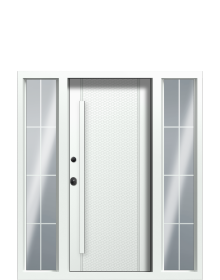 Дверь Termo Ral 9005, Ral 9003 вид внутри